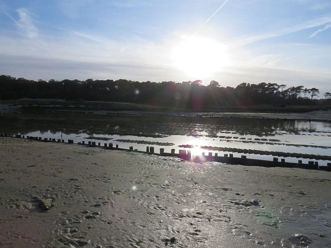 Port de la Guittière