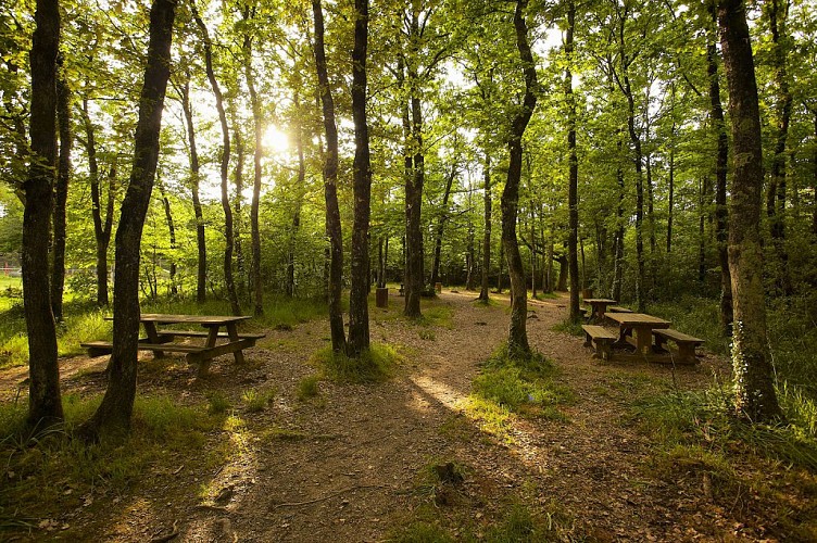 Aire de pique-nique du Bois des Girondins