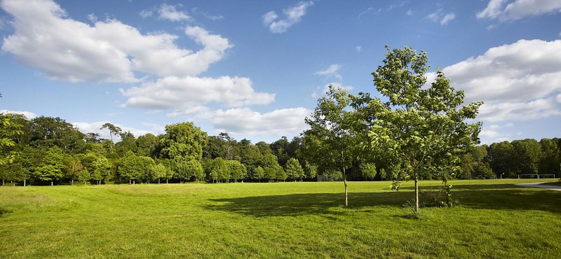 Aire de pique-nique de la Vallée verte