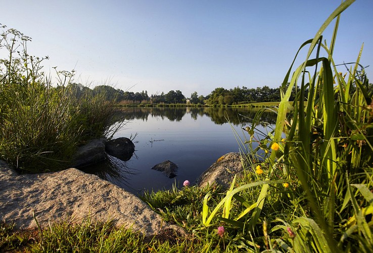 Aire de pique-nique de la coulée verte du Guyon
