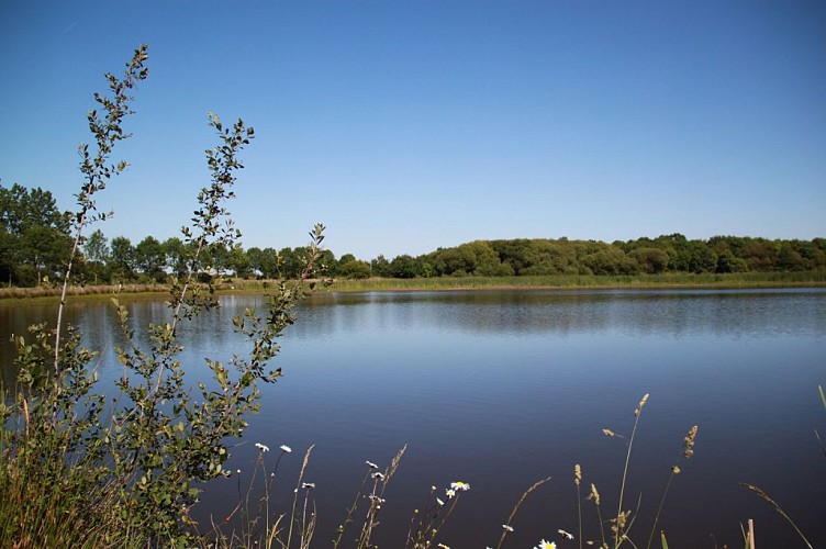 AIRE DE PIQUE-NIQUE L’ÉTANG DES ROCHETTES