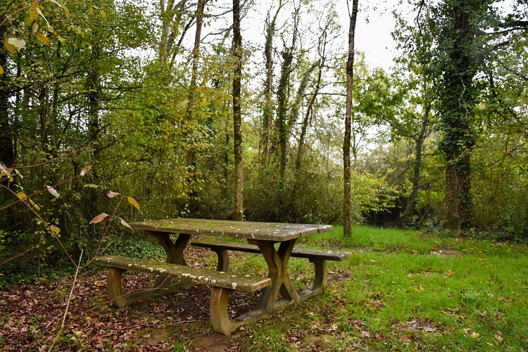 Aire de pique-nique de l'île du Furet