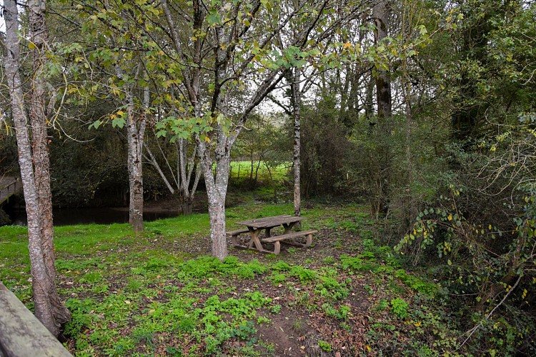 Aire de pique-nique de l'île du Furet
