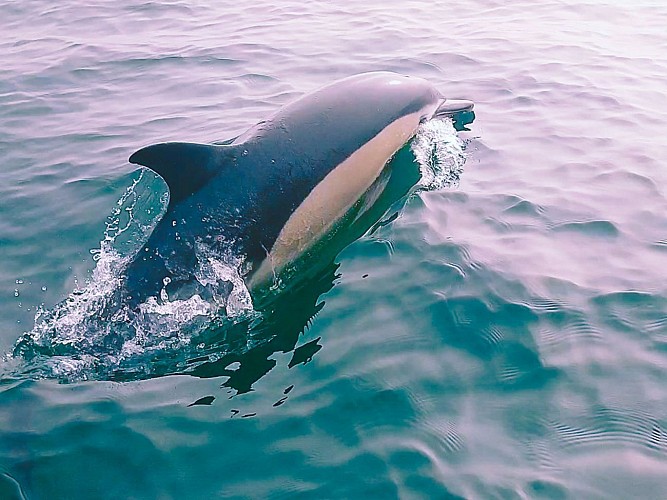 ESCAPADE MARINE EN FAMILLE