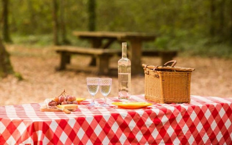 Aires de pique-nique - Route de Brem