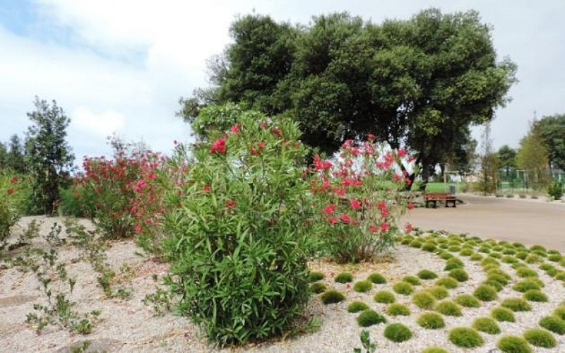 Aire de pique-nique - Parc des Roses