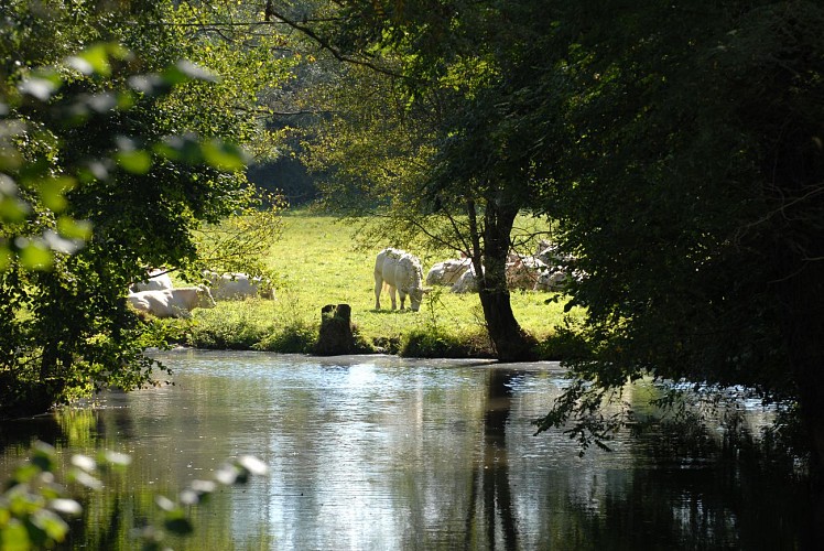 Parcours de pêche le Puy, la Boulogne