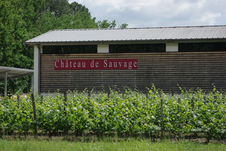 façade chai sauvage