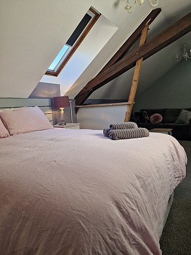 The Alpaca CH ©StephanieDecmann (5)