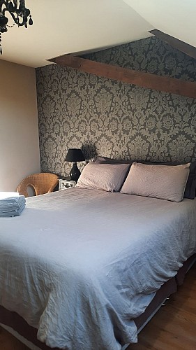 The Alpaca CH ©StephanieDecmann (6)