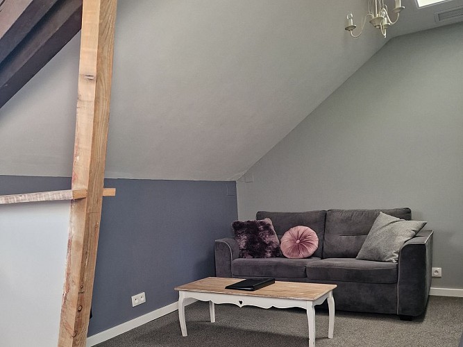 The Alpaca CH ©StephanieDecmann (1)