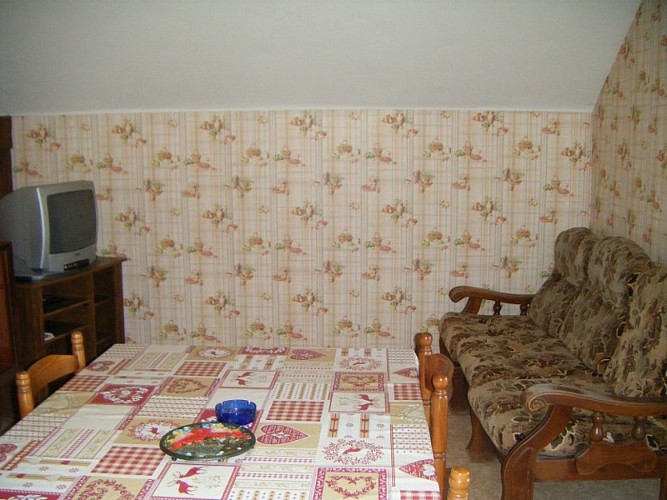 Gîte la saladie_salon