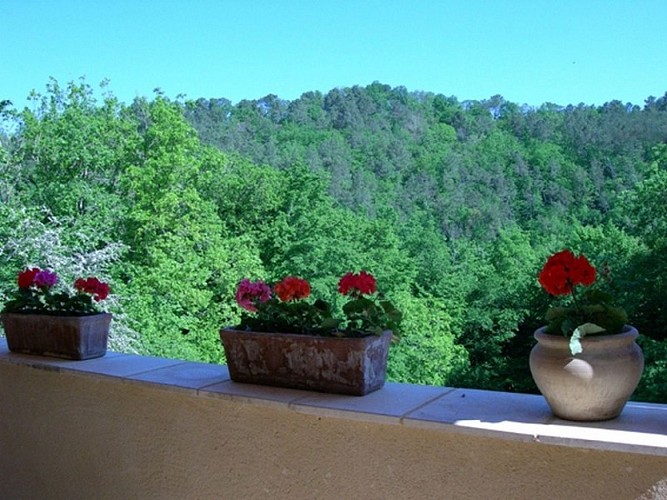 ROUQUETTE 2 - LAPEYRE