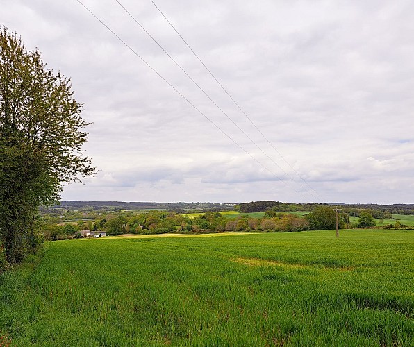 image du object