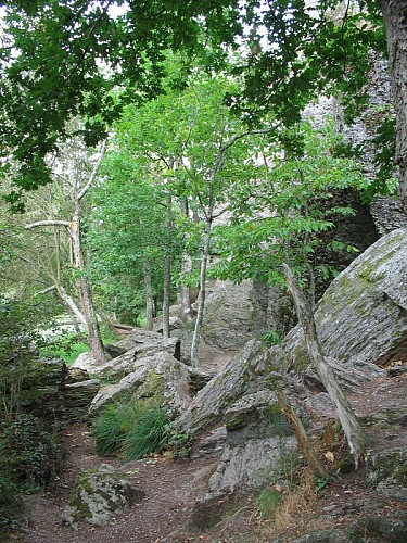 rocher Etang du Val Saint Just (600x800)
