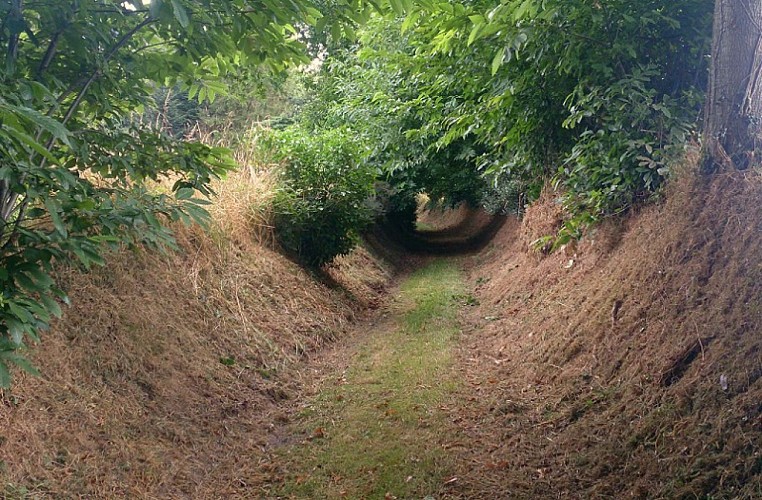 Balade de la Potelais - Chemins creux vers le Chêne-Bicogne