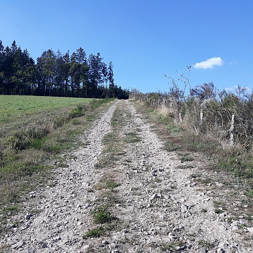 Circuit pedestre de la Croix Haute