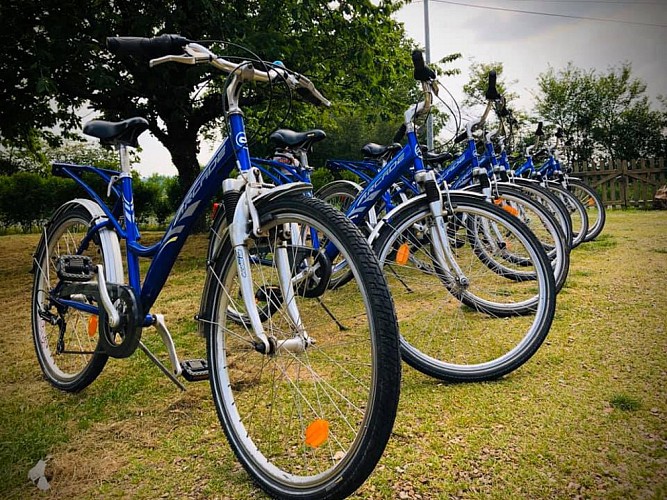 Location de vélos à Morannes