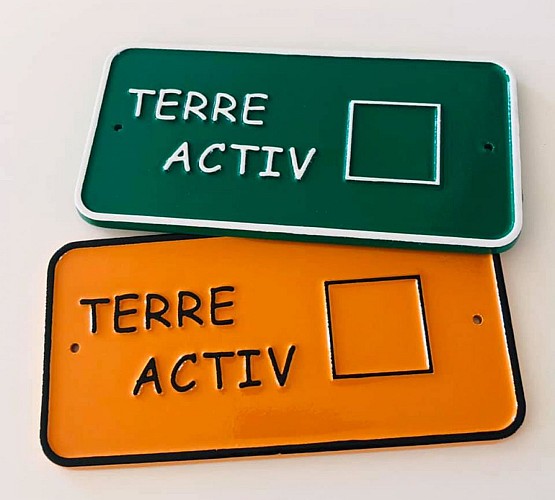 Course d'orientation à Morannes