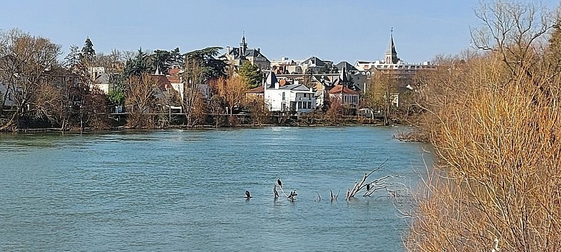 Image du poi