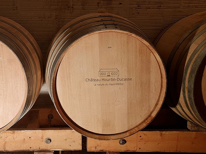 ampelo hourtinducasse 2025 4