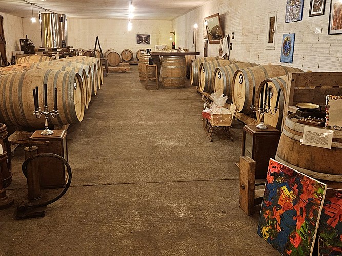 ampelo hourtinducasse 2025 3