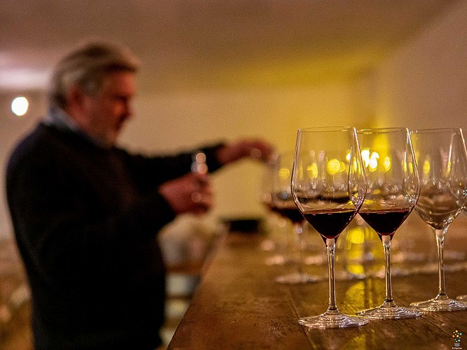 ampelo hourtinducasse 2025 5