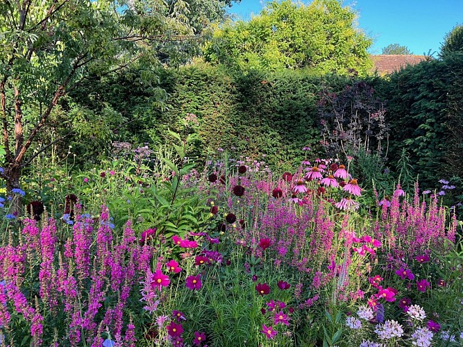 Jardin en chambre le jardin pourpre