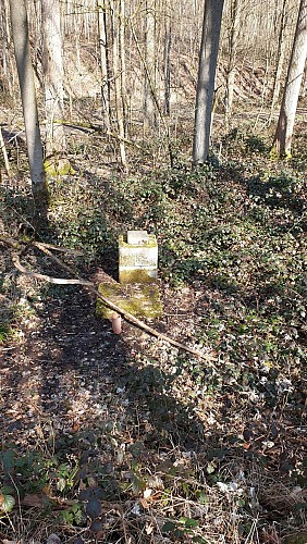 Vestige d'un des puits du Prince Charles de Lorraine