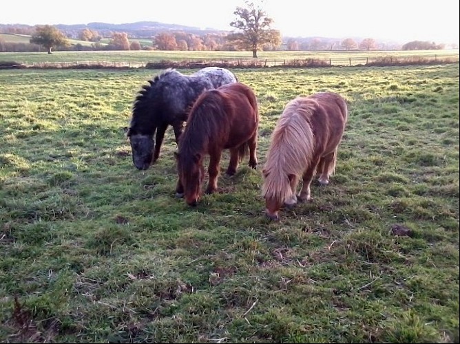 La Villatte Equitation 23_2