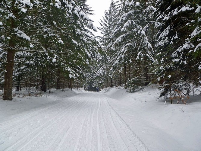 Station de ski de fond de Bonnefond_4