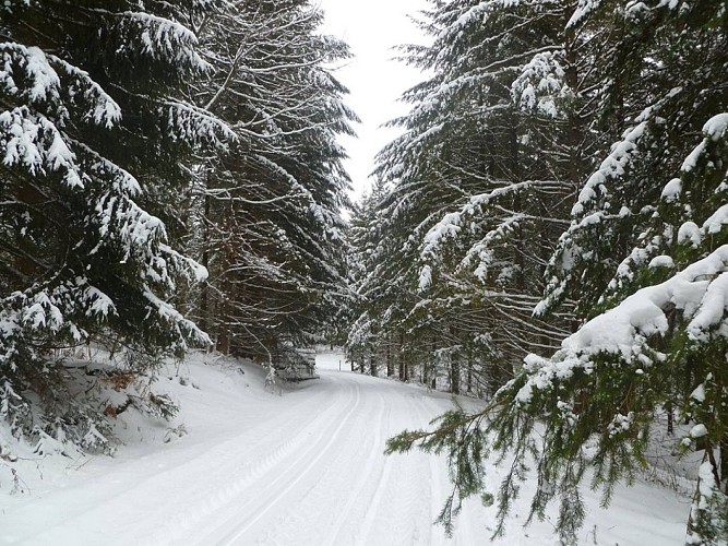 Station de ski de fond de Bonnefond_5