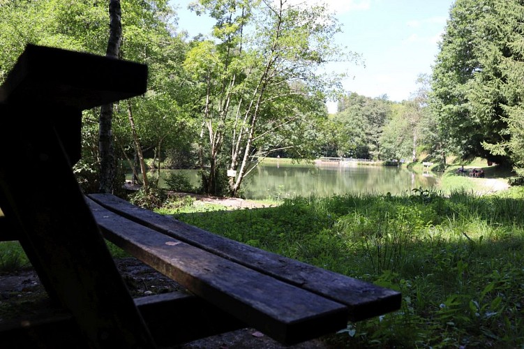 Aire de Pique Nique Arudy - Lac Ducrest