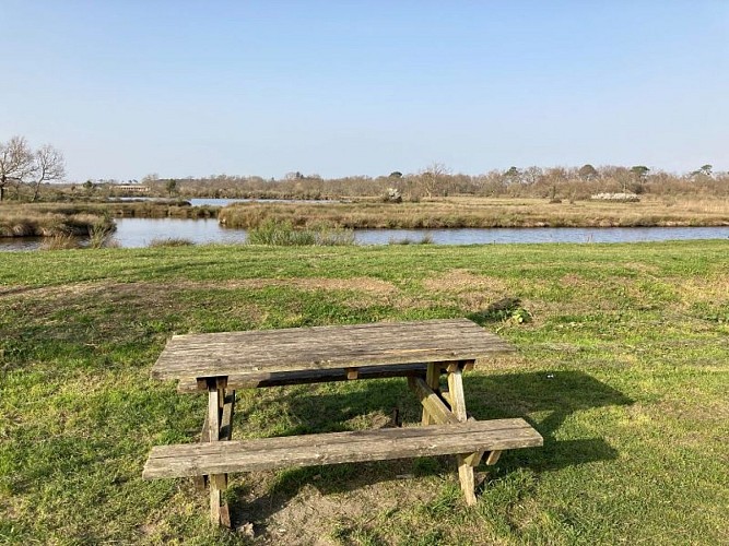 Aire-de-pique-nique port d'Audenge