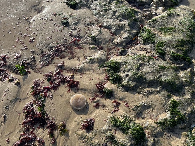 Design sans titre - 6