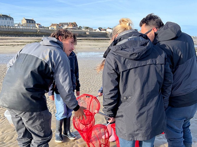 balade-decouverte-littorale-peche-a-pied-luc-sur-mer1
