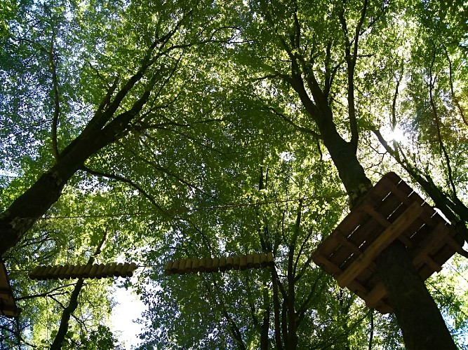 Parcours-dans-les-arbres