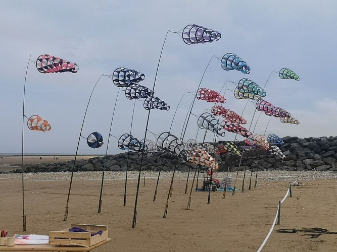 CERF VOLANT avec Eolia