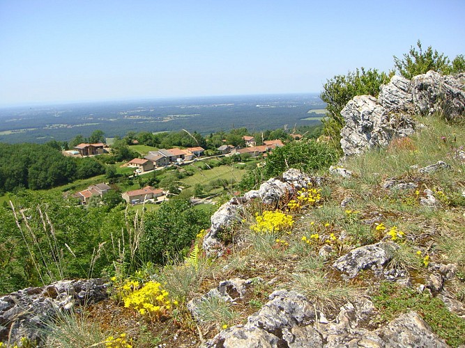 Chapelle Notre-Dame des Conches