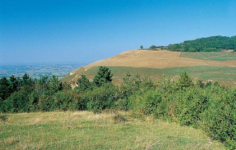 Carrière de Roissiat