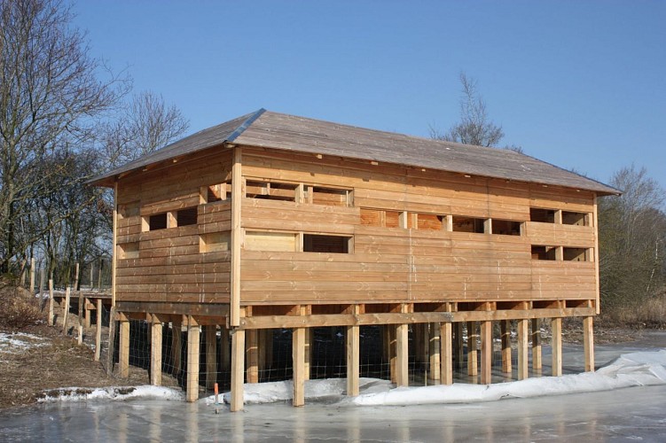 Etang Chapelier, ENS de l'Ain