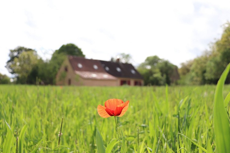 Gite des retrouvailles