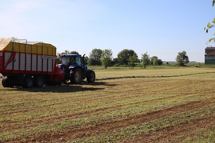 Gite des retrouvailles
