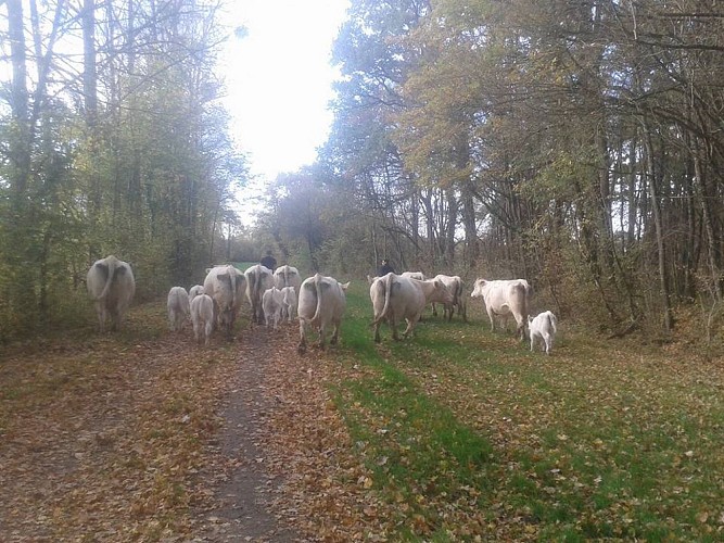 Gite des retrouvailles