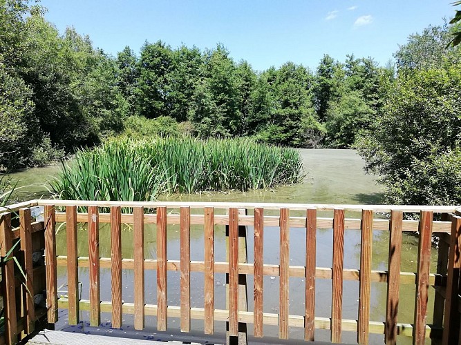 Serres-Castet berges arlas juillet 2024 credit tourisme bearn  - Copie