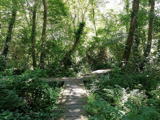 Serres-Castet berges arlas juillet 2024