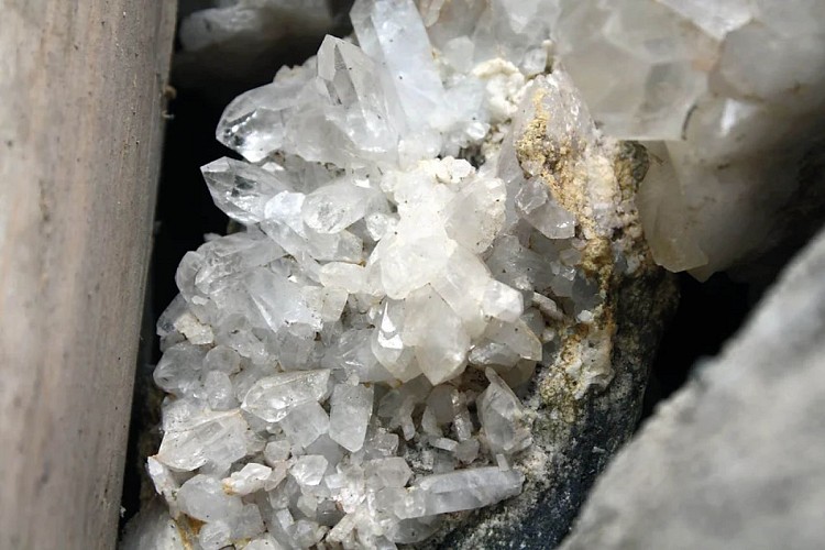 Mathieu Taboury | École MCF Saint-François Longchamp