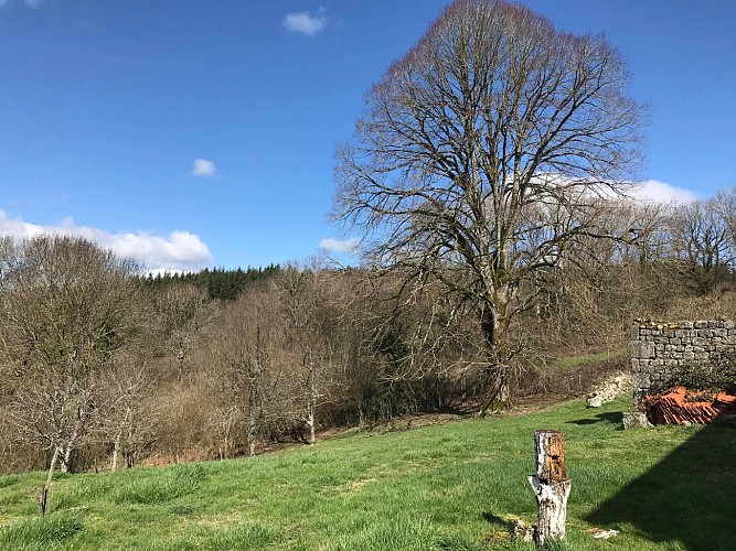 89857750_2541651869408363_5011215292324380672_n