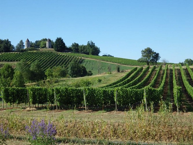 moulins-de-boisse (7)