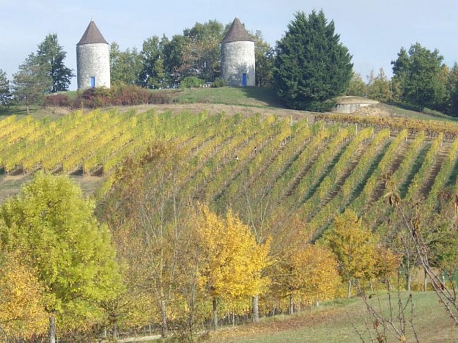 moulins-de-boisse (2)